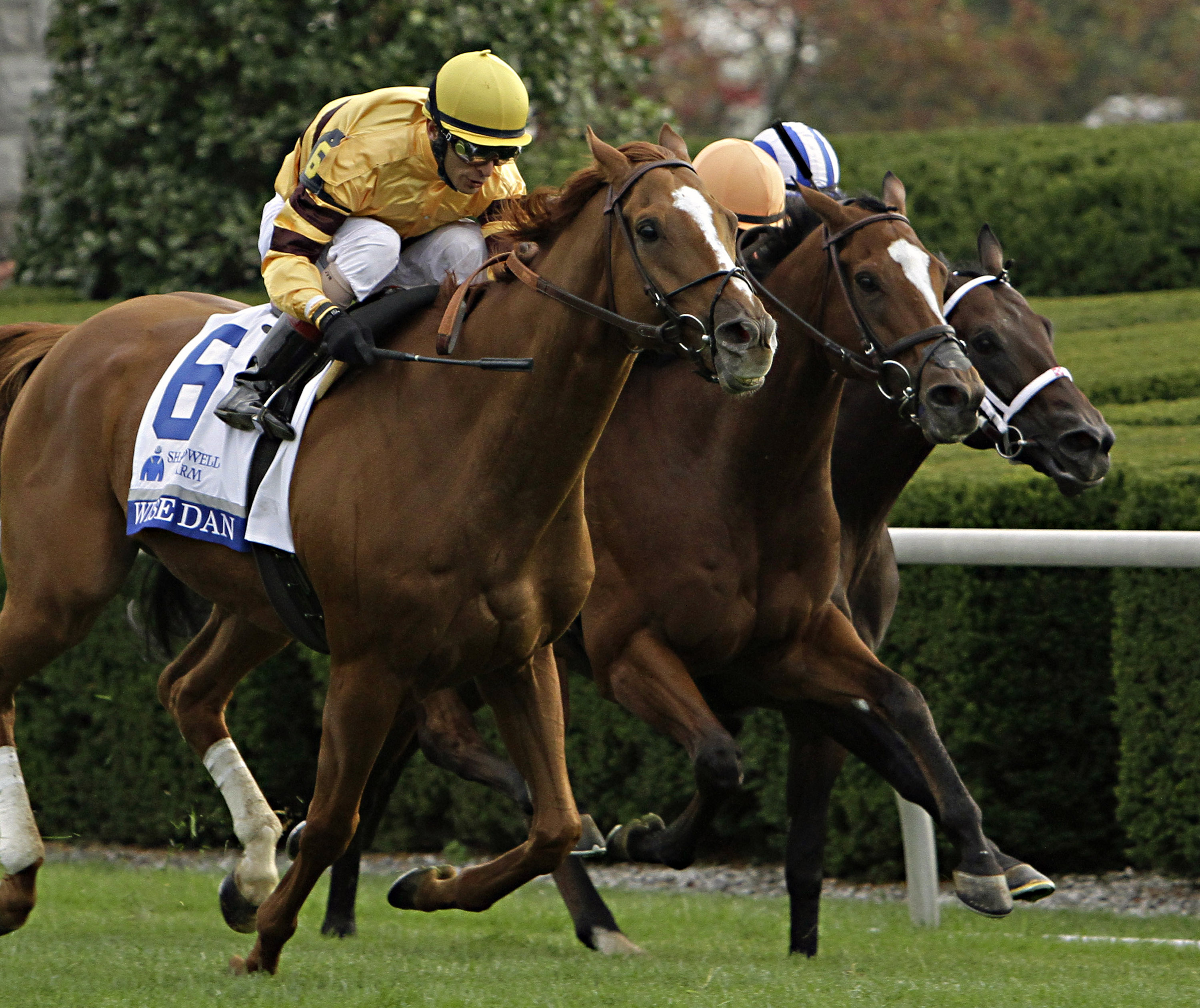Wise Dan wins 2nd Shadwell Turf Mile at Keeneland