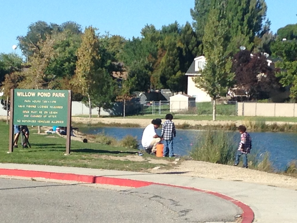 Man dies after being pulled from Murray pond while drowning
