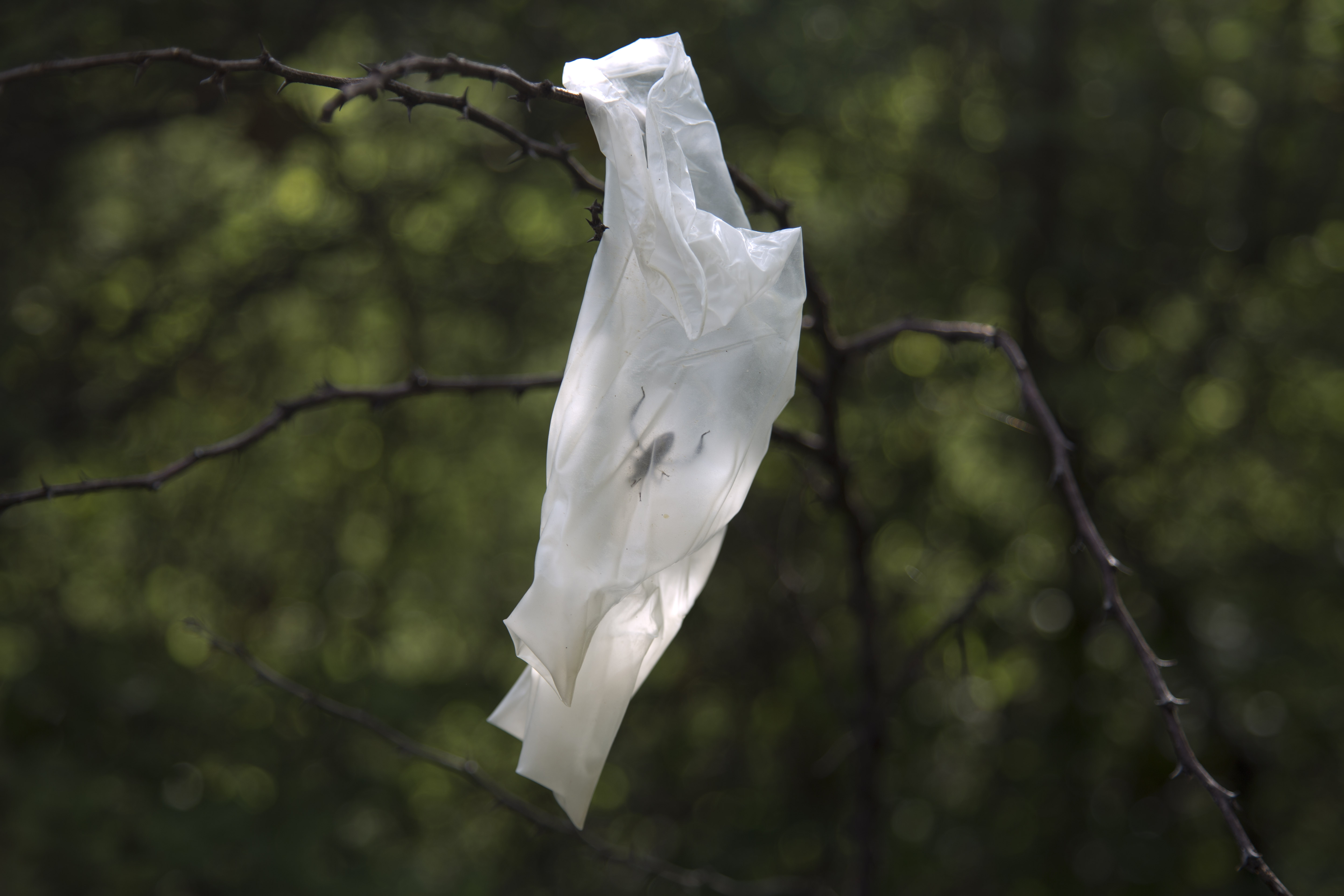 Violence highlights power of gang in Mexican town