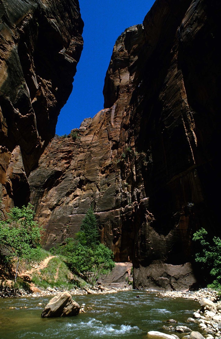 The search continued Monday for a woman who has been missing since flooding at Zion National Park prompted the rescue of several hikers on Friday.