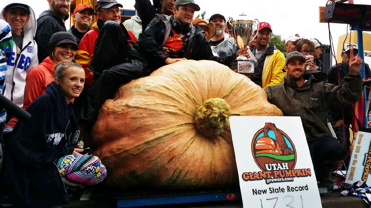 Pumpkin grower beats Utah state record for 1,731-pound fruit