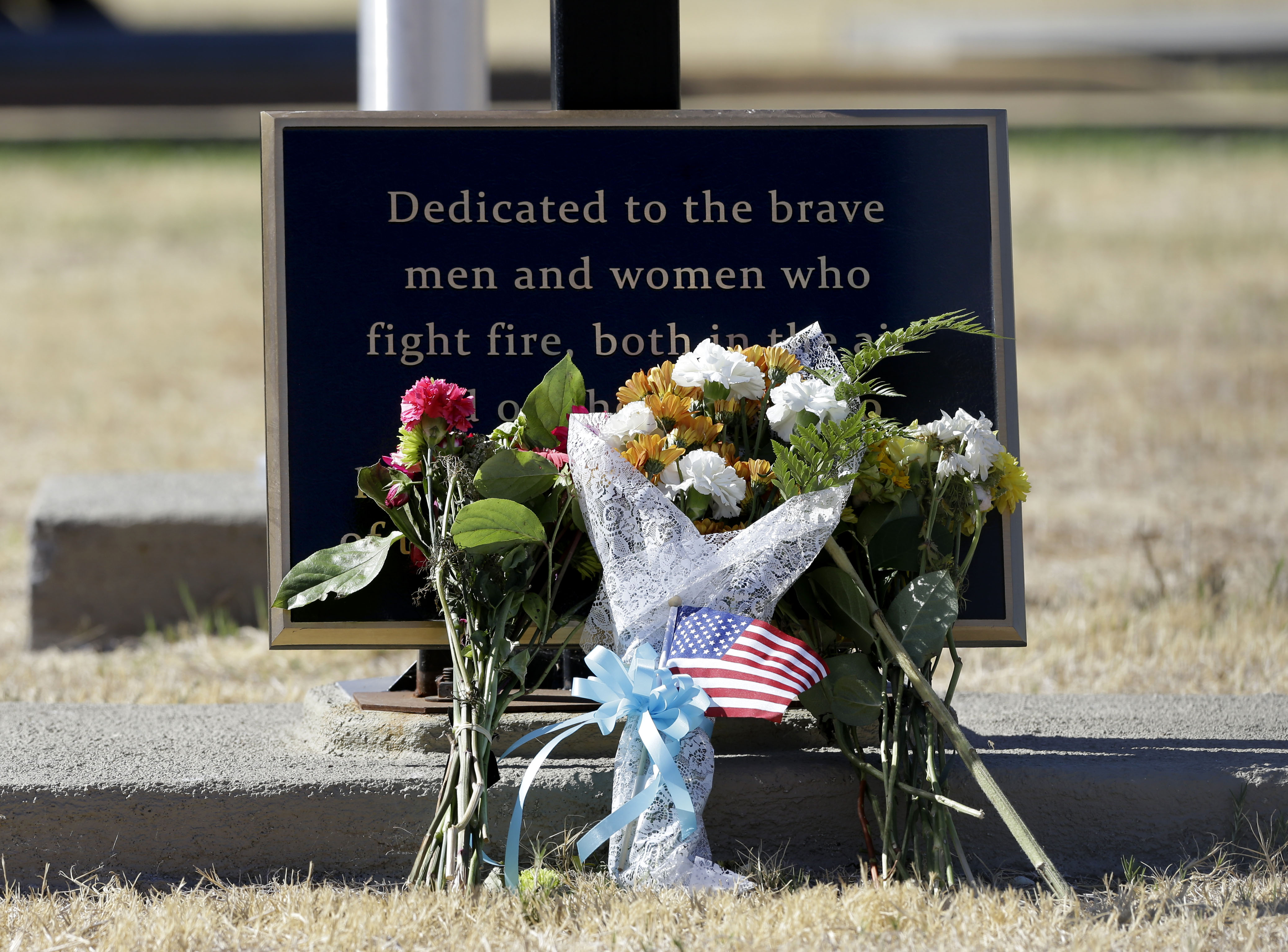 Northern California blaze not showing much growth