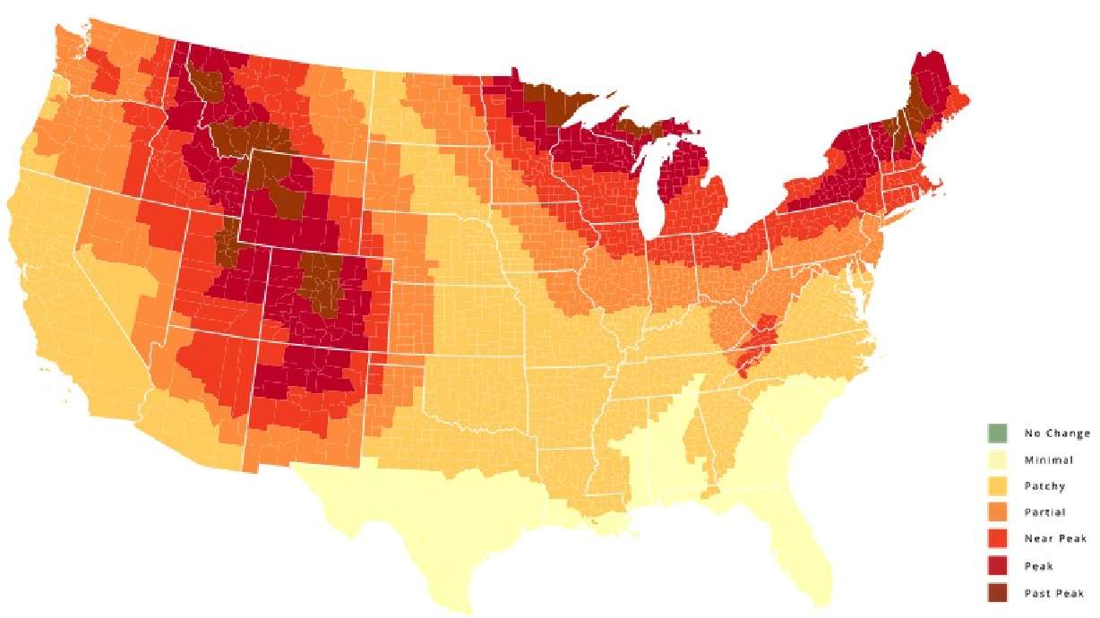 Best time to view fall leaves depicted on interactive map