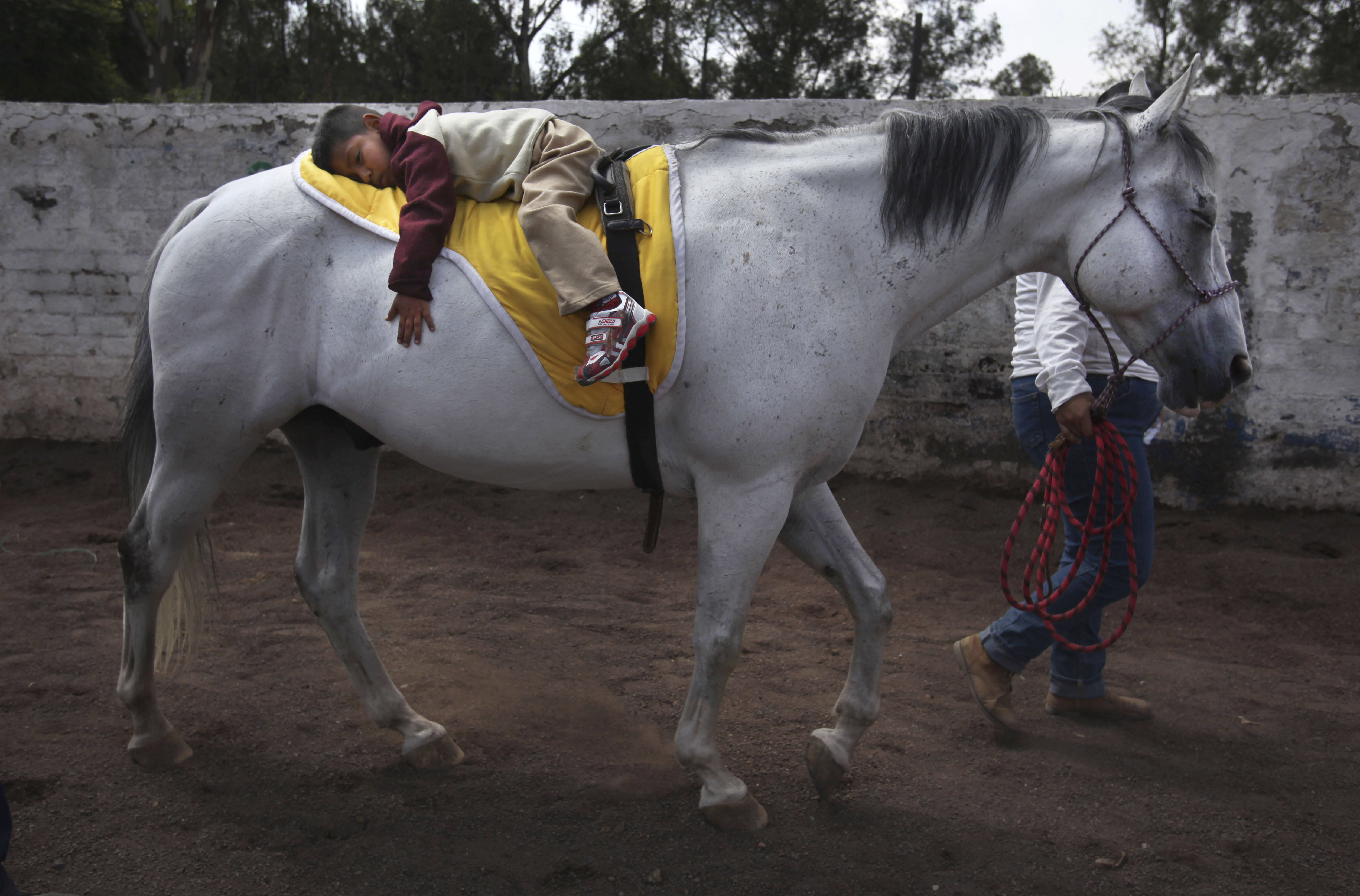 Mexico celebrates its charro horse tradition