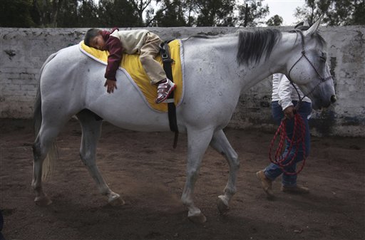 Caballos de charrerías, parte de la hermosa cultura mexicana