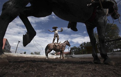 Caballos de charrerías, parte de la hermosa cultura mexicana