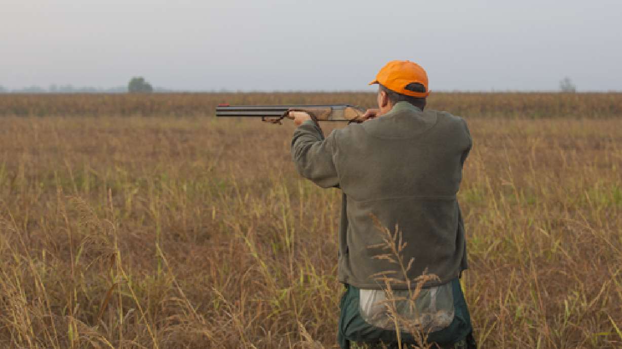 New hunting, fishing app makes licenses more accessible