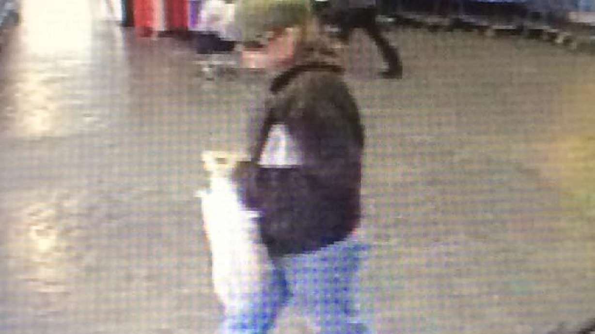 Police seek woman in connection with car burglaries