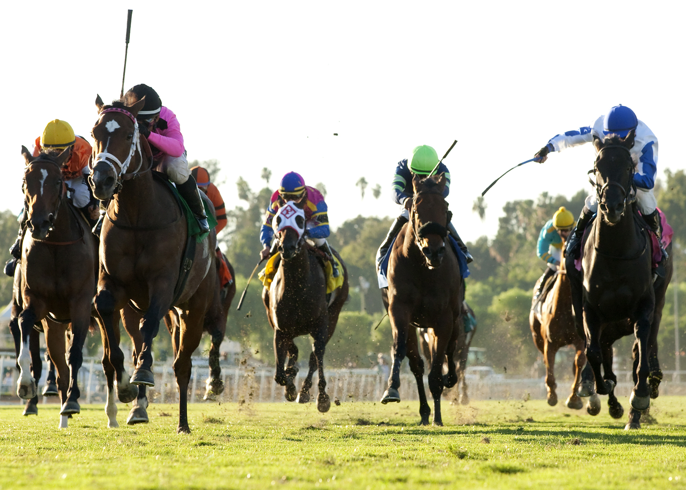 Lexie Lou wins Autumn Miss Stakes at Santa Anita