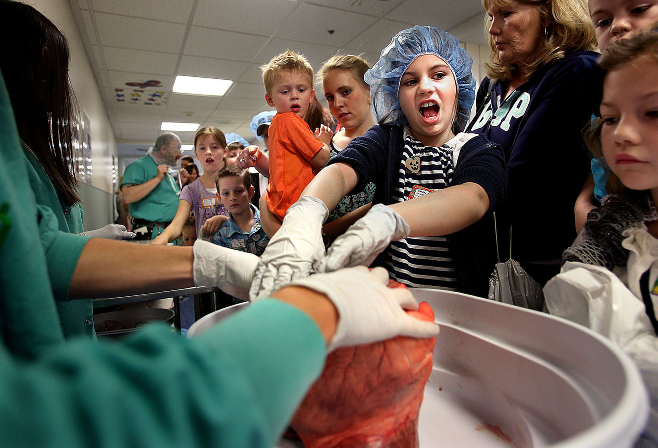 Hanah Hess, 8, of Clinton, reacts to feeling the inside of a cow's heart at the surgical services open house at Primary Children̢۪s Hospital in Salt Lake City on Saturday, Oct. 25, 2014. The open house is held every other year to promote education of pediatric surgical services and provide a fun experience for the children. (Photo: Laura Seitz, Deseret News)