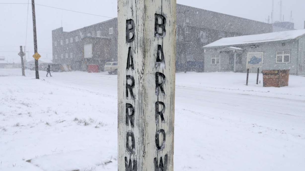 Hunting for whale & votes above the Arctic Circle