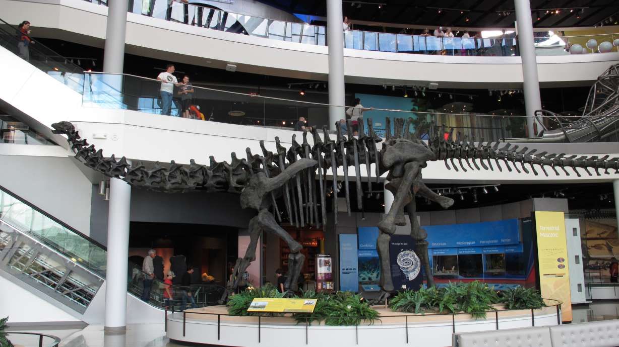 Rural Tennessee museum a success in first year