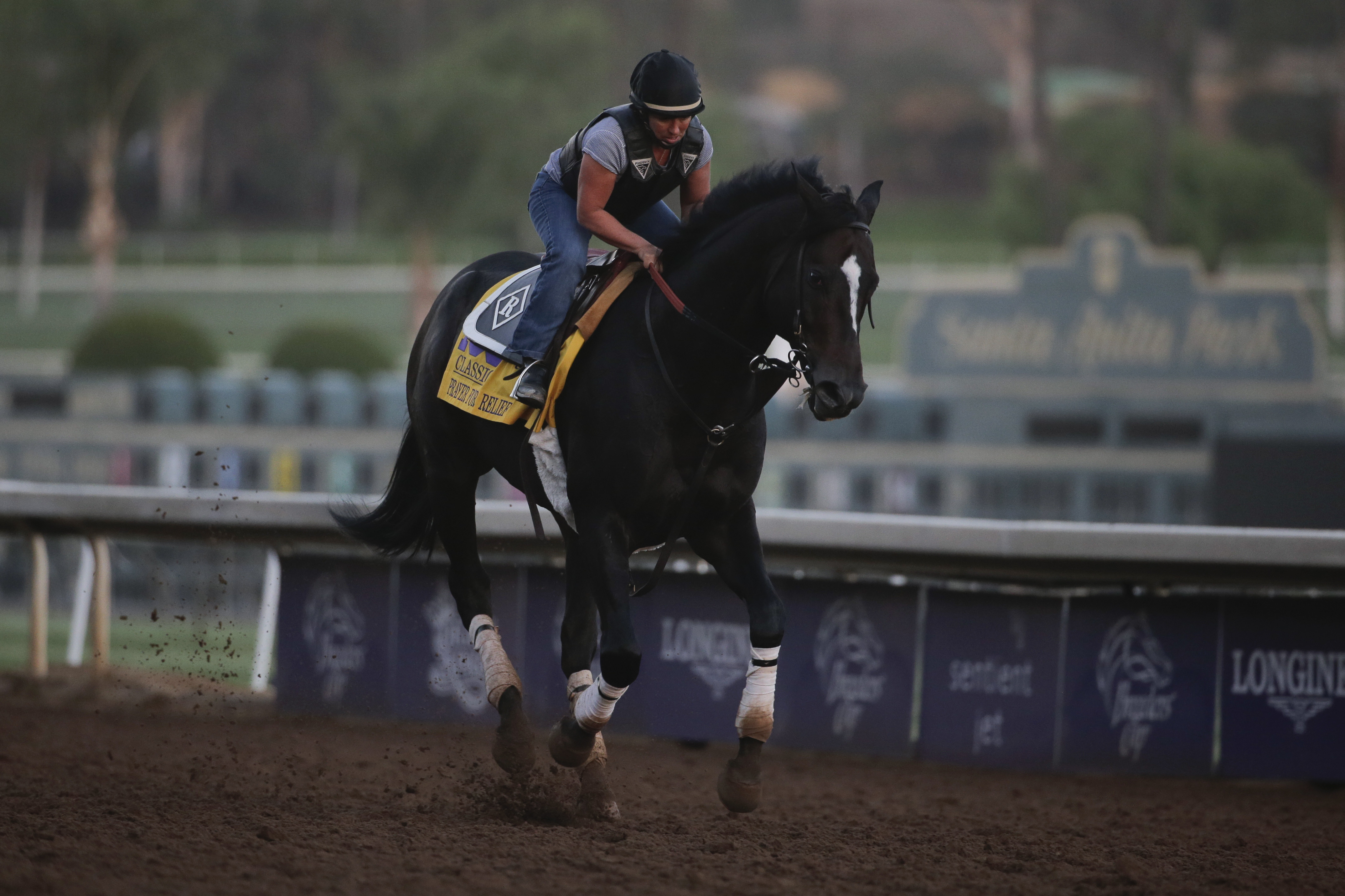 Untapable, Napravnik team up for Breeders' Cup