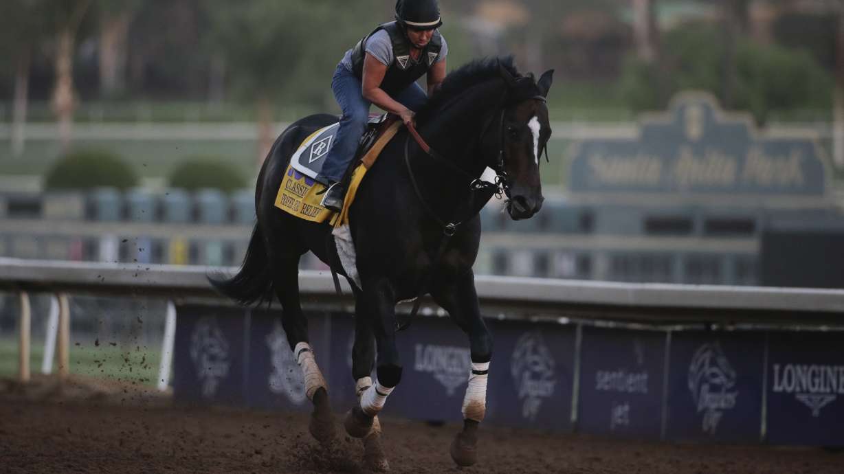 Untapable, Napravnik team up for Breeders' Cup