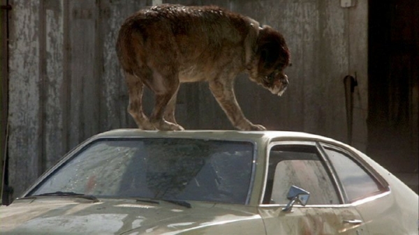 "Cujo" teaches cars won't start. (Photo: Warner Bros.)
