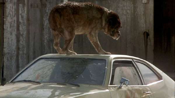 "Cujo" teaches cars won't start. (Photo: Warner Bros.)