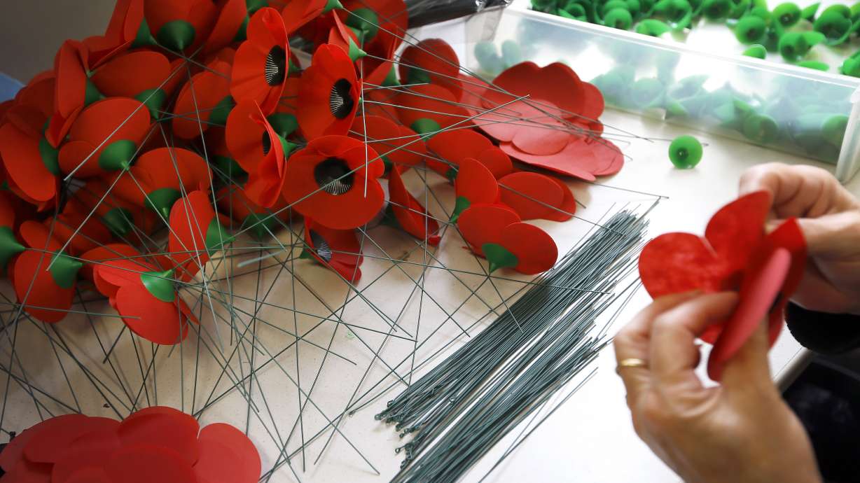 100 years after WWI, poppy lives on as symbol