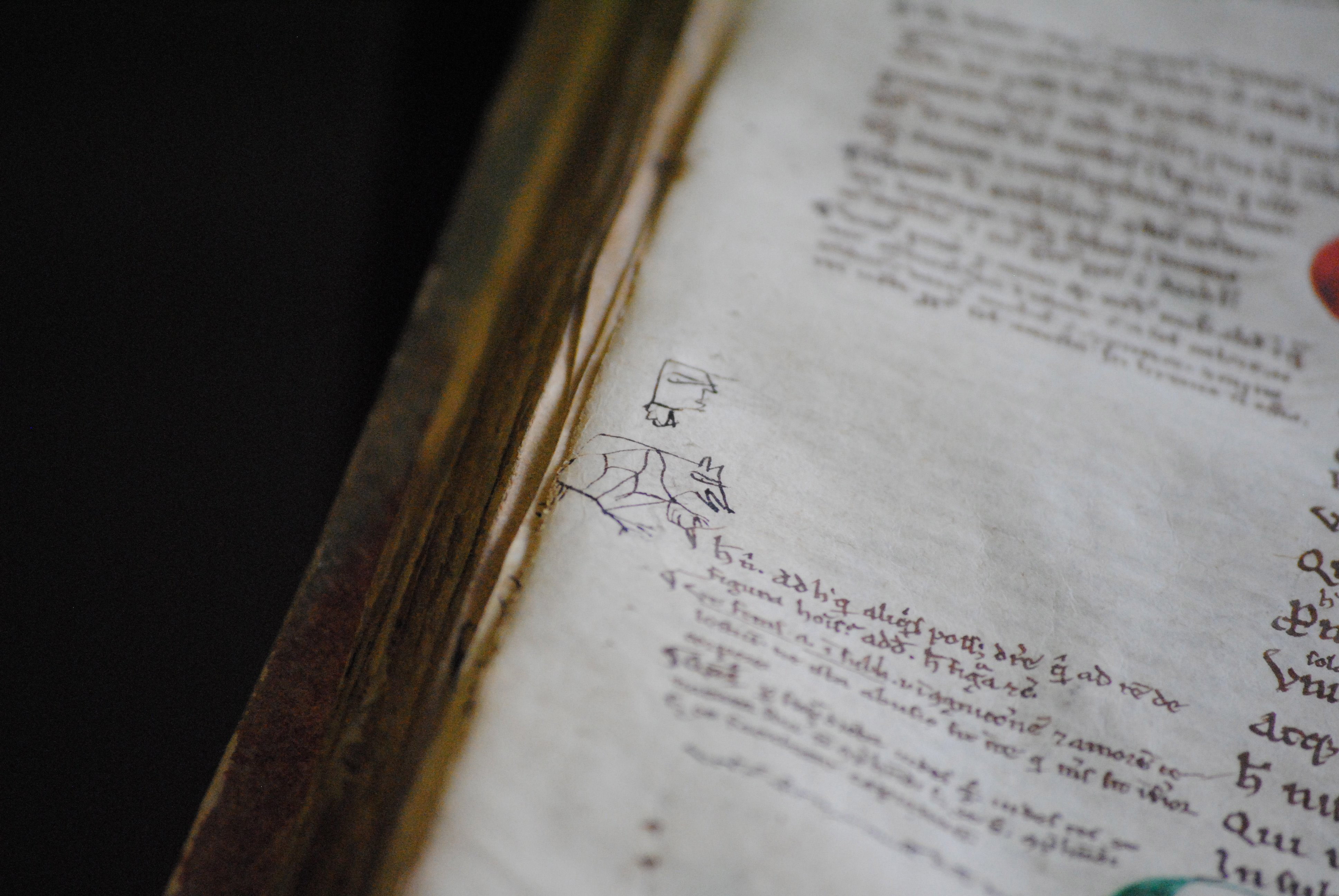 Gold mine of cheeky medieval doodles show ancestors just as silly as us