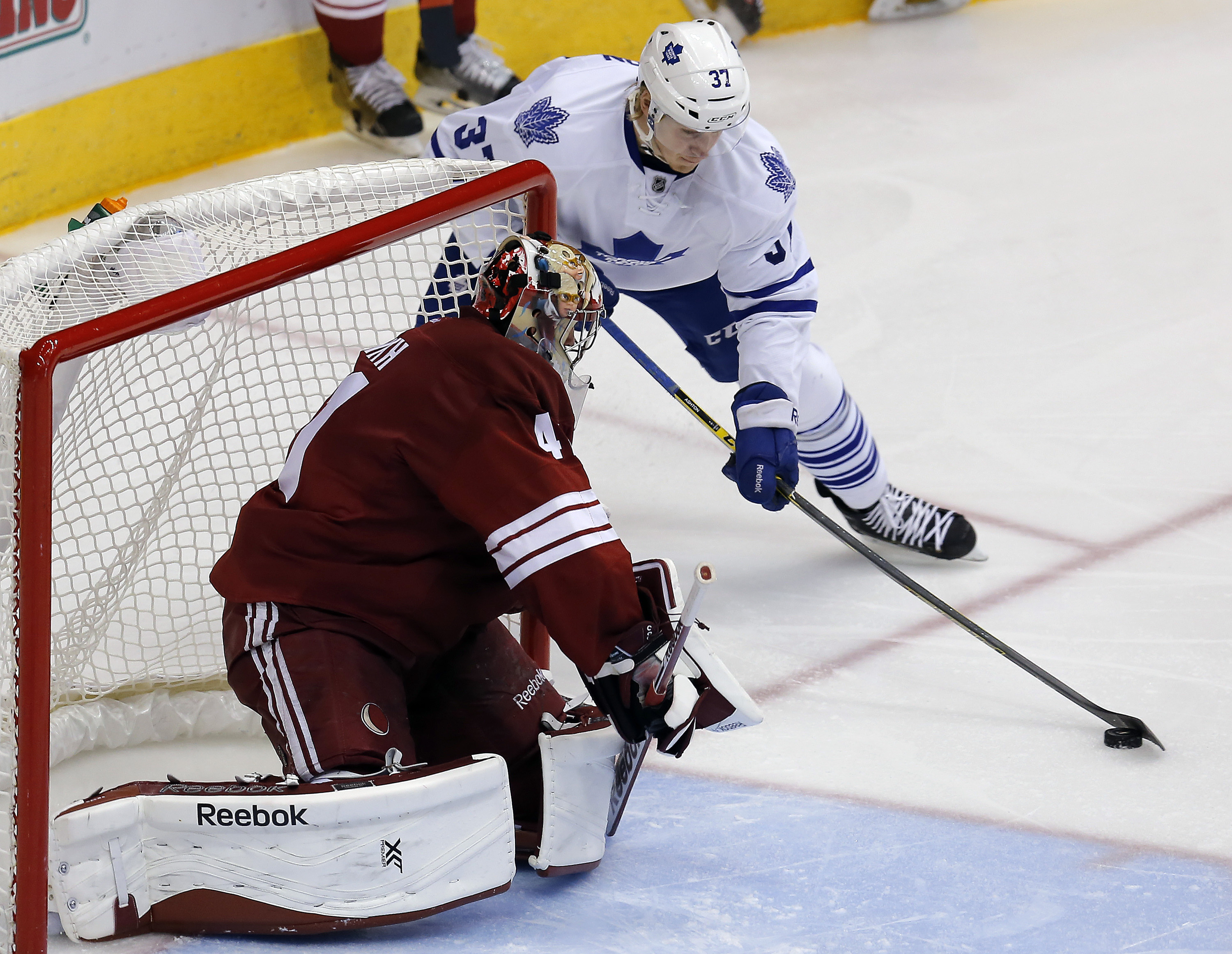 Leafs' Ashton banned 20 games for drug violation