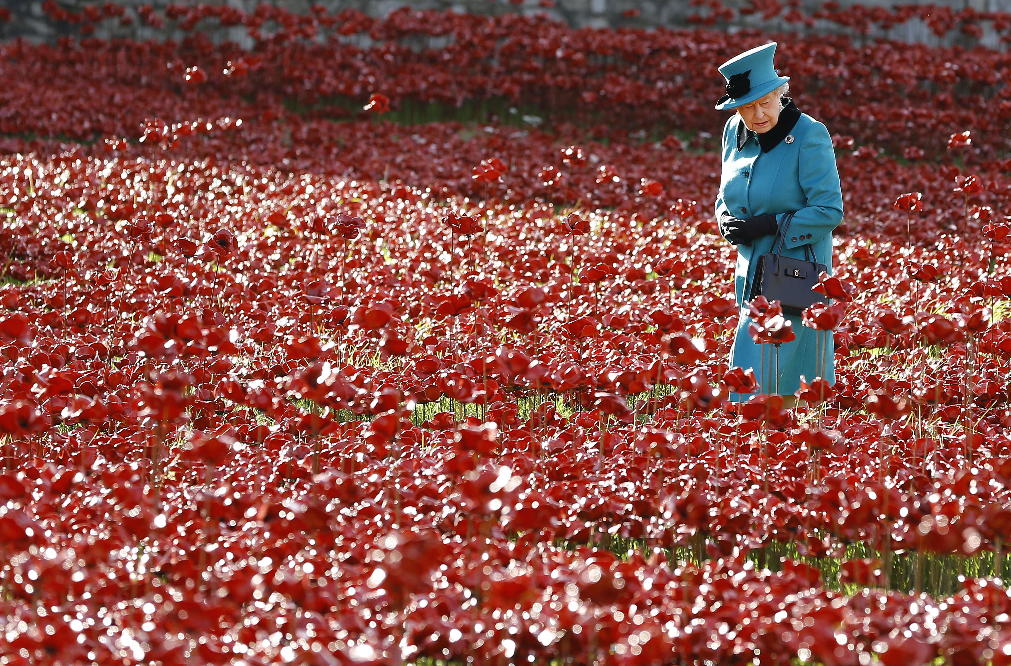 Tower of London poppy display draws huge crowds