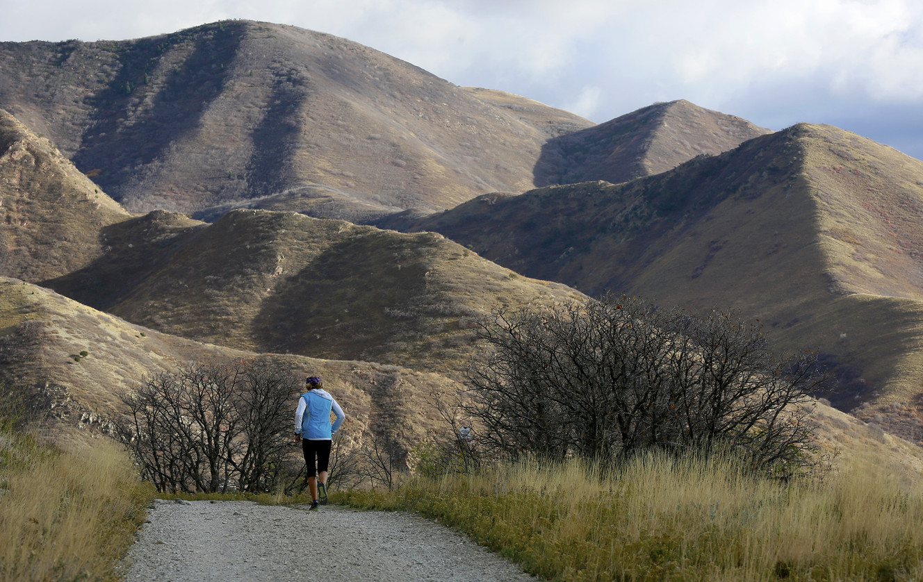 Proposal to turn Mountain Accord into official government entity delayed