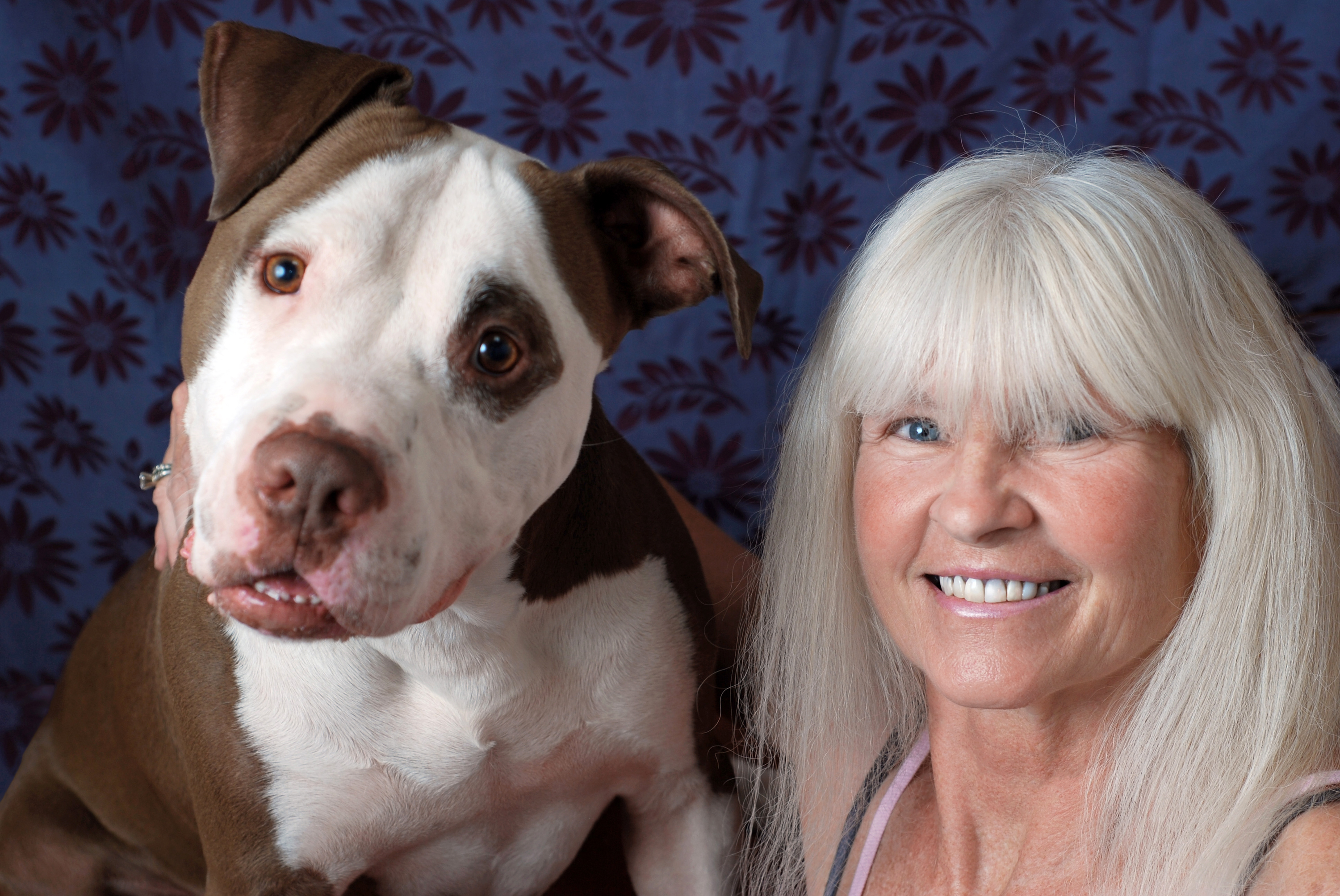 Star-studded TV show to help needy dogs find homes