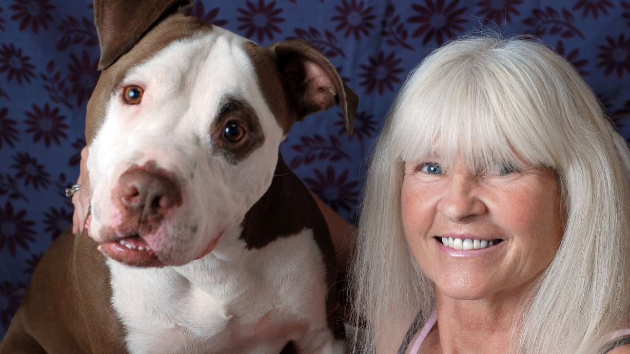 Star-studded TV show to help needy dogs find homes