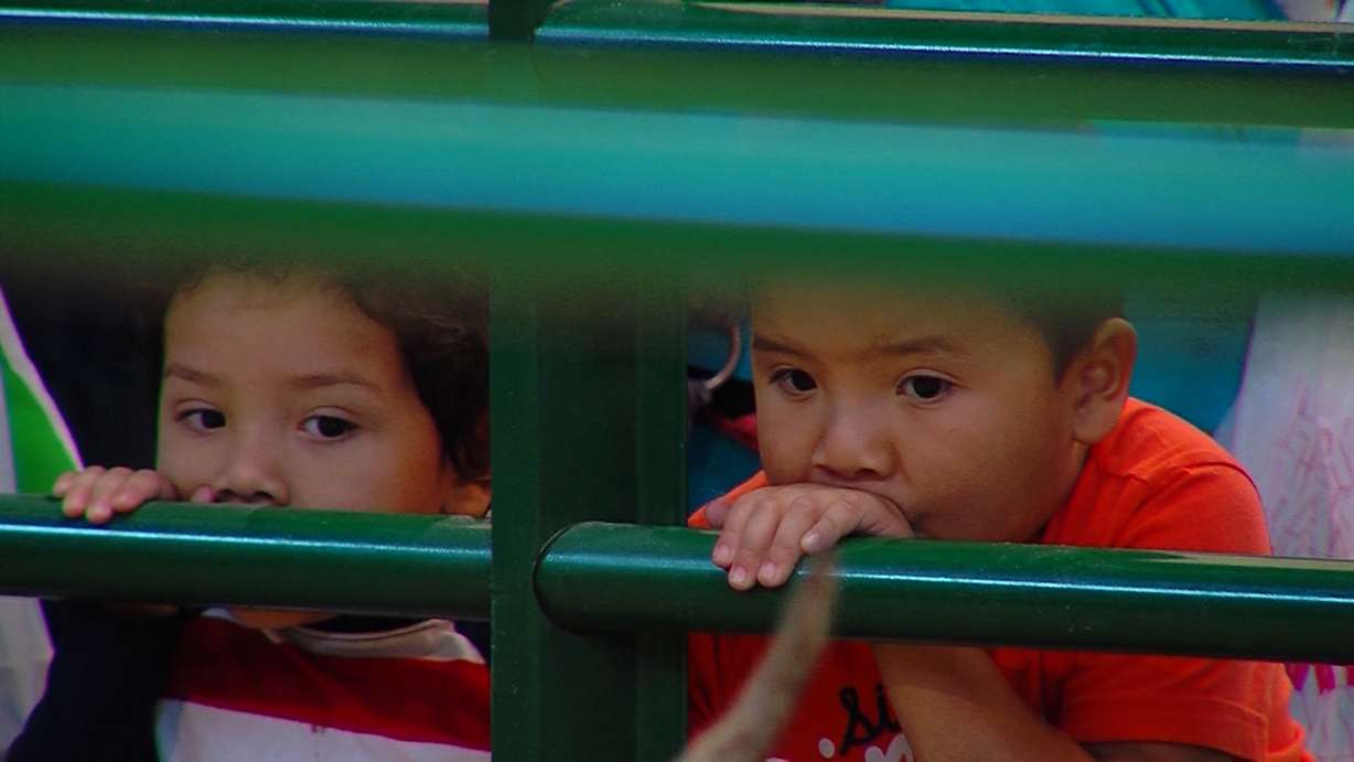 Kids at the Valley Fair Mall intently gazing at the display of live reindeer set up for the holiday season. (Wintson Armani/KSL TV).