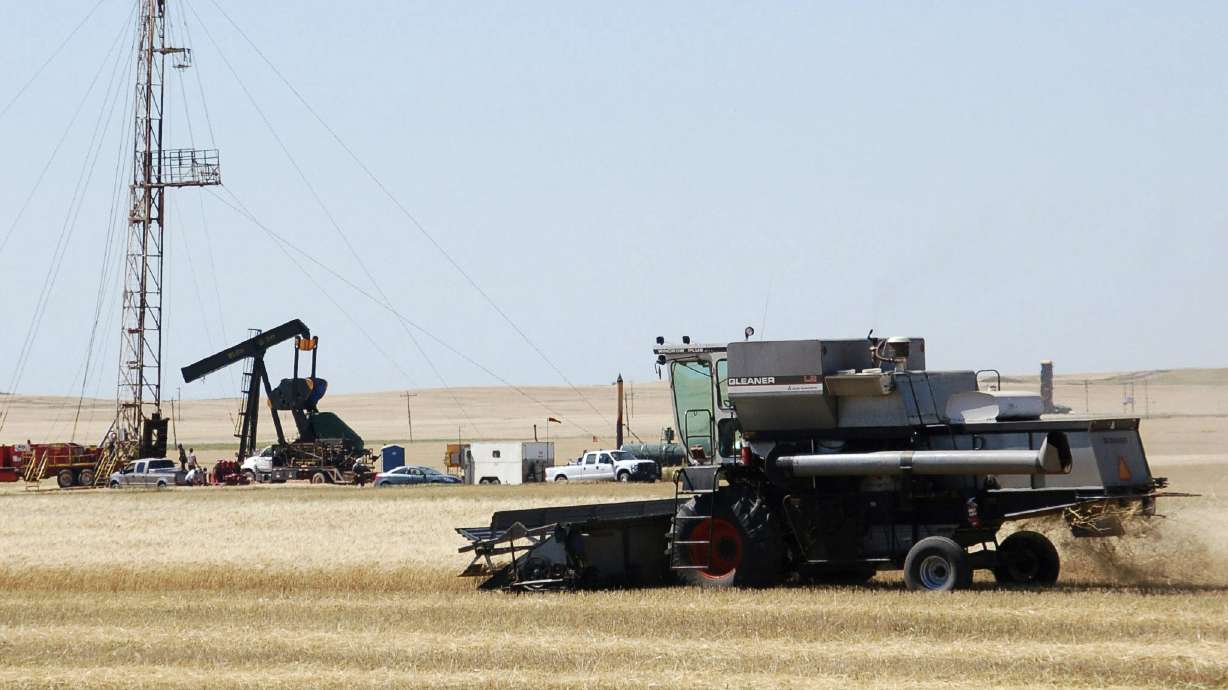 Poor durum crop likely to impact pasta consumers
