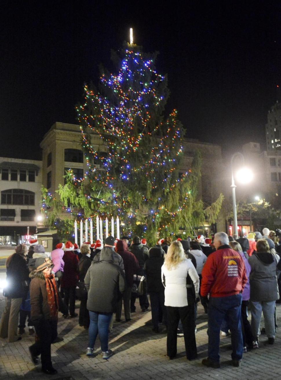 City plans celebration for 'Charlie Brown' tree