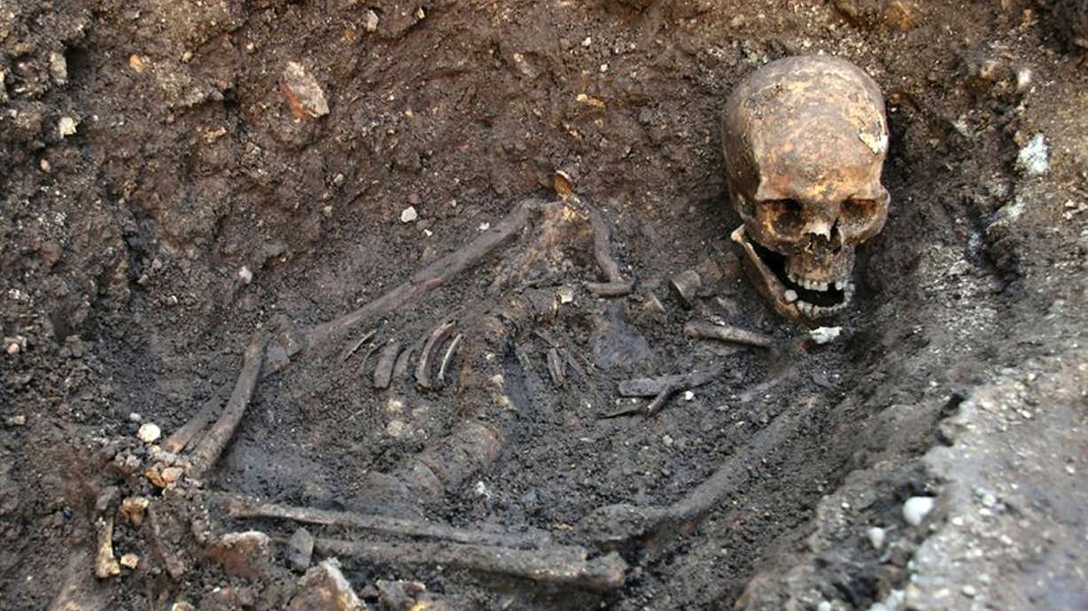 England's King Richard III identified with DNA