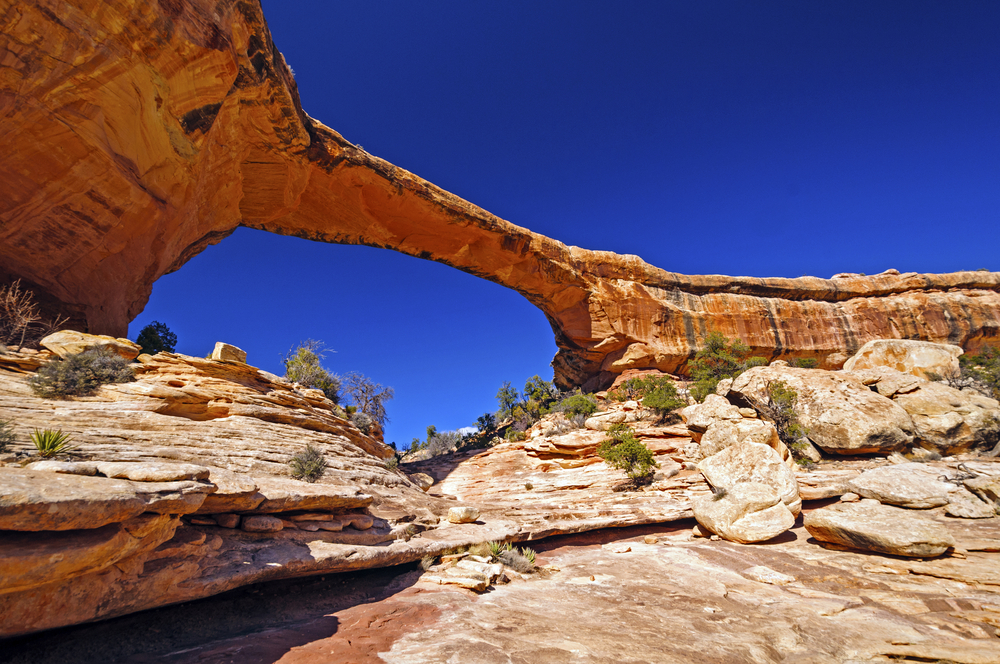 Officials weigh raising fees at Natural Bridges