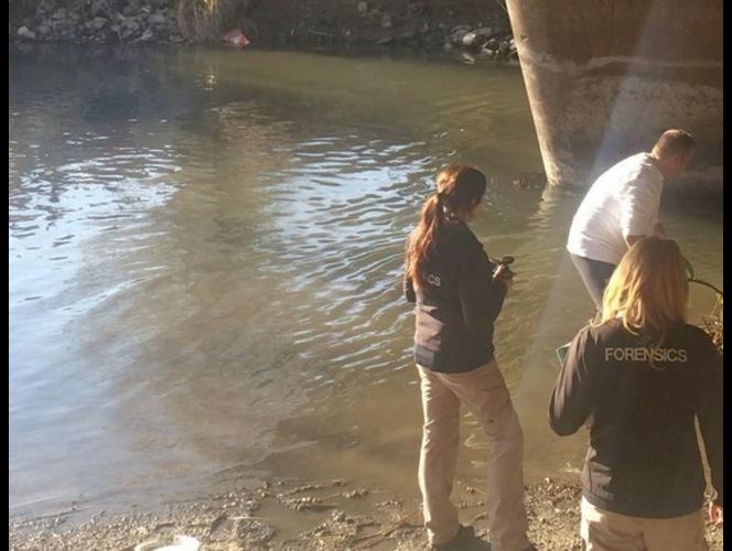 Encuentran cuerpo en estado de descomposición en Jordan River 