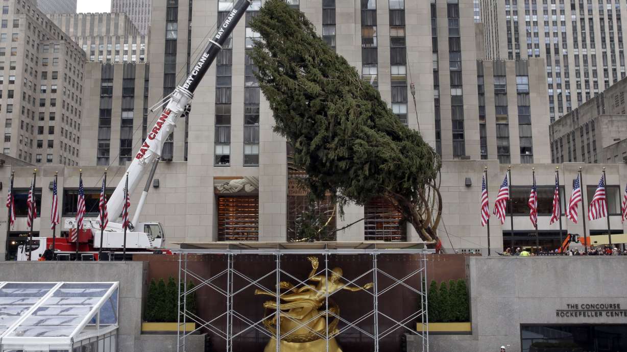 Thousands gather for NYC Christmas tree lighting