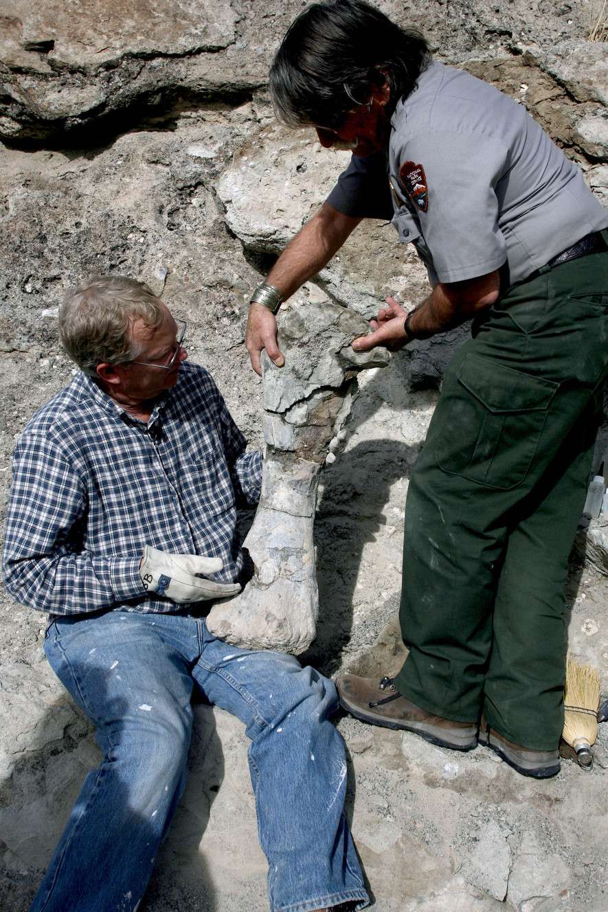 Brigham Young University paleontologist Brooks Britt, left, and Dinosaur National Monument paleontologist Daniel Chure hold up a sauropod humerus that was excavated Tuesday from a hillside on the Fossil Discovery Trail at Dinosaur National Monument. Photo: Geoff Leisik, KSL