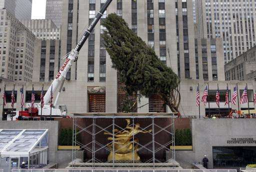 Encienden árbol de Navidad del Rockefeller Center