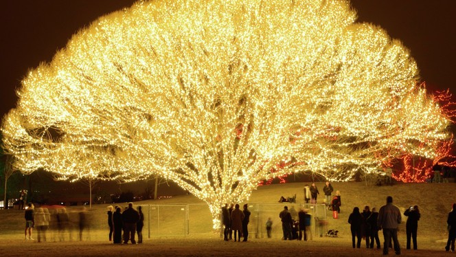 La ciudad de Draper le da un toque diferente a la Navidad con el 'árbol de la vida'