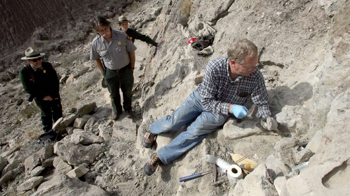 Vandalized dinosaur fossil to become teaching tool