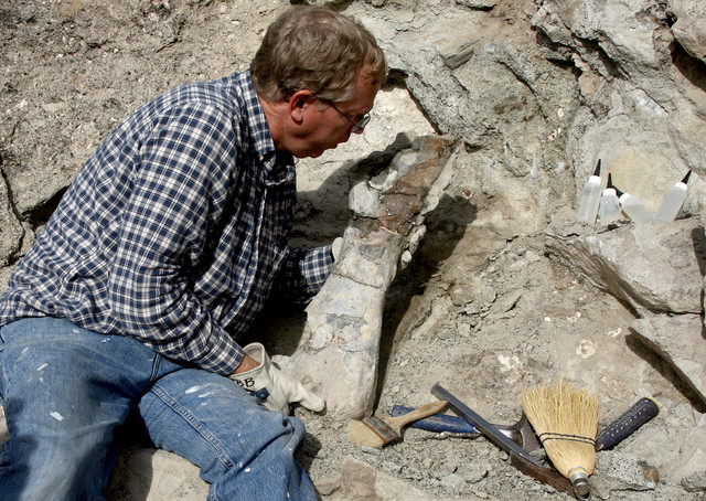 "Hundreds of thousands of visitors have been able to come here and actually look at dinosaur bones as they are naturally exposed by erosion. Now, because of the thoughtless actions of one person, future visitors won't have the opportunity to see this particular bone in the field . where future generations can experience that joy of discovery." -Daniel Chure, the monument's paleontologist