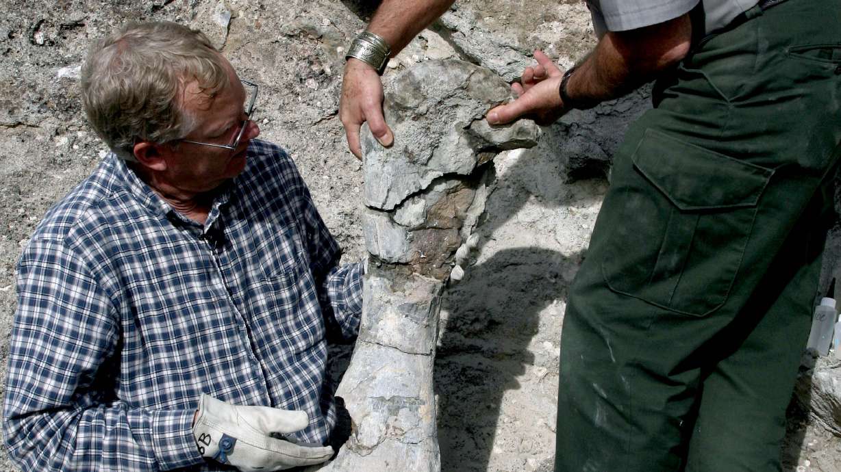 Vandalized dinosaur fossil to become teaching tool