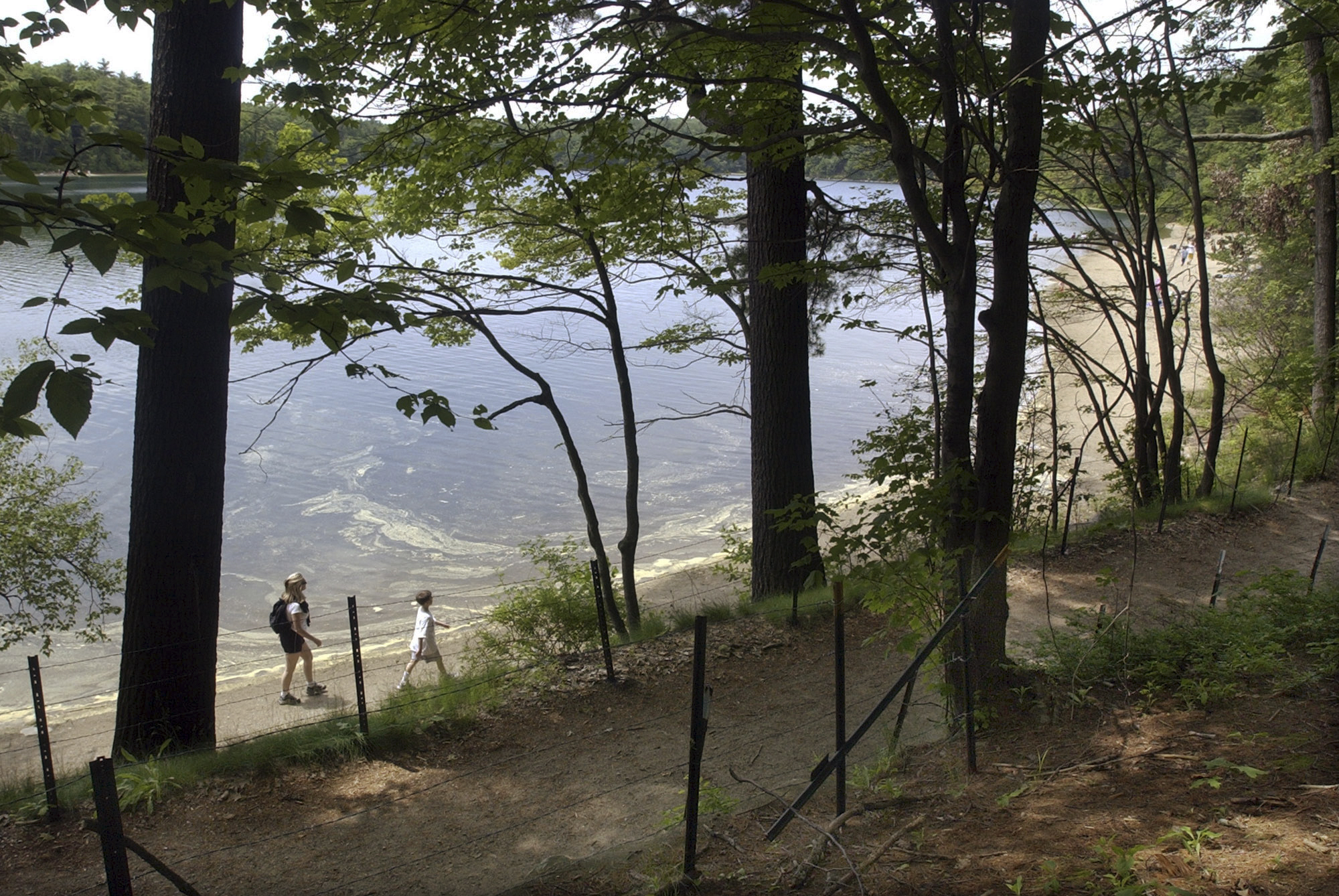 Walden Pond where Thoreau lived simply goes solar