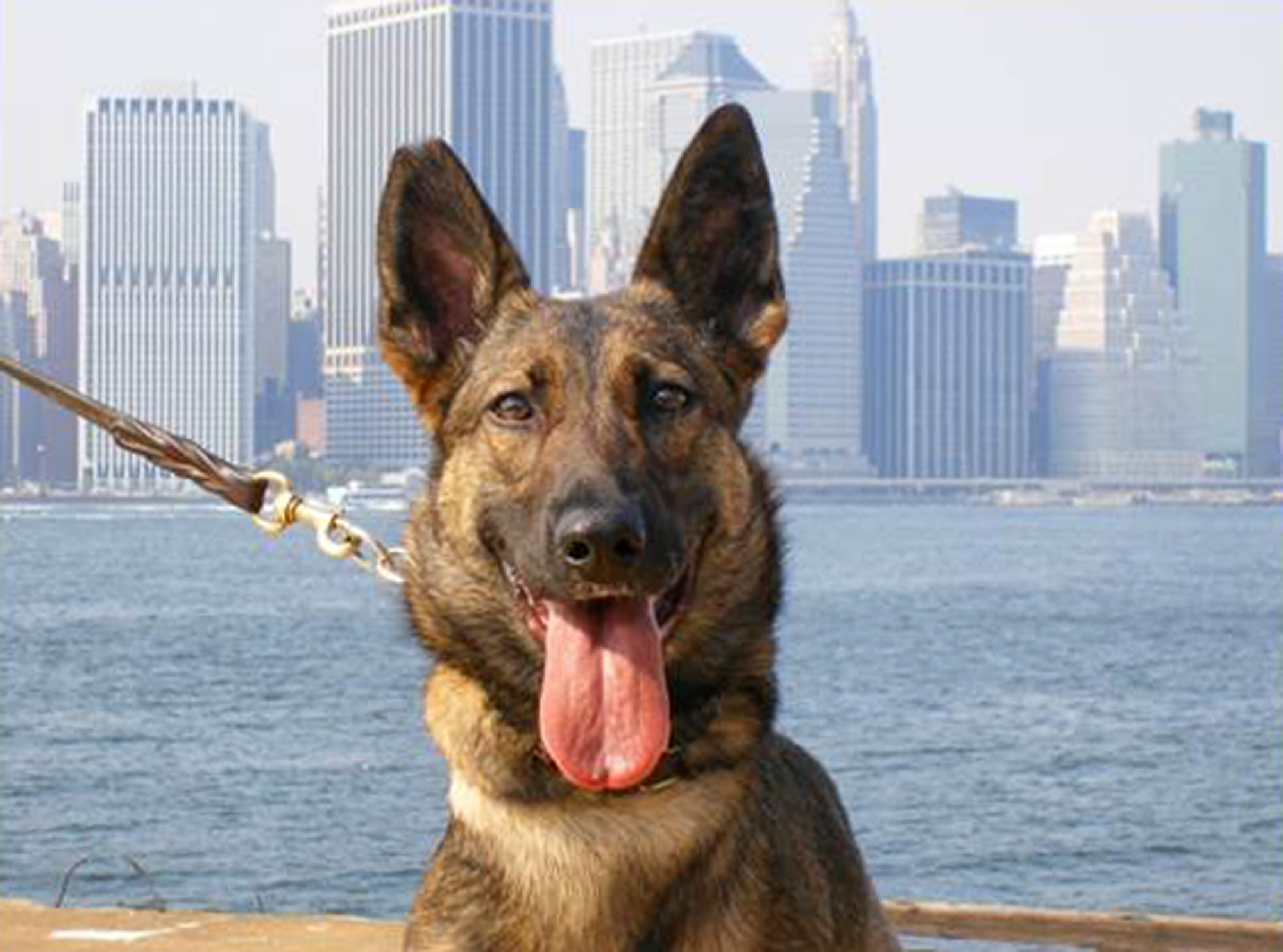 Officials: Woman had cocaine in custard packages