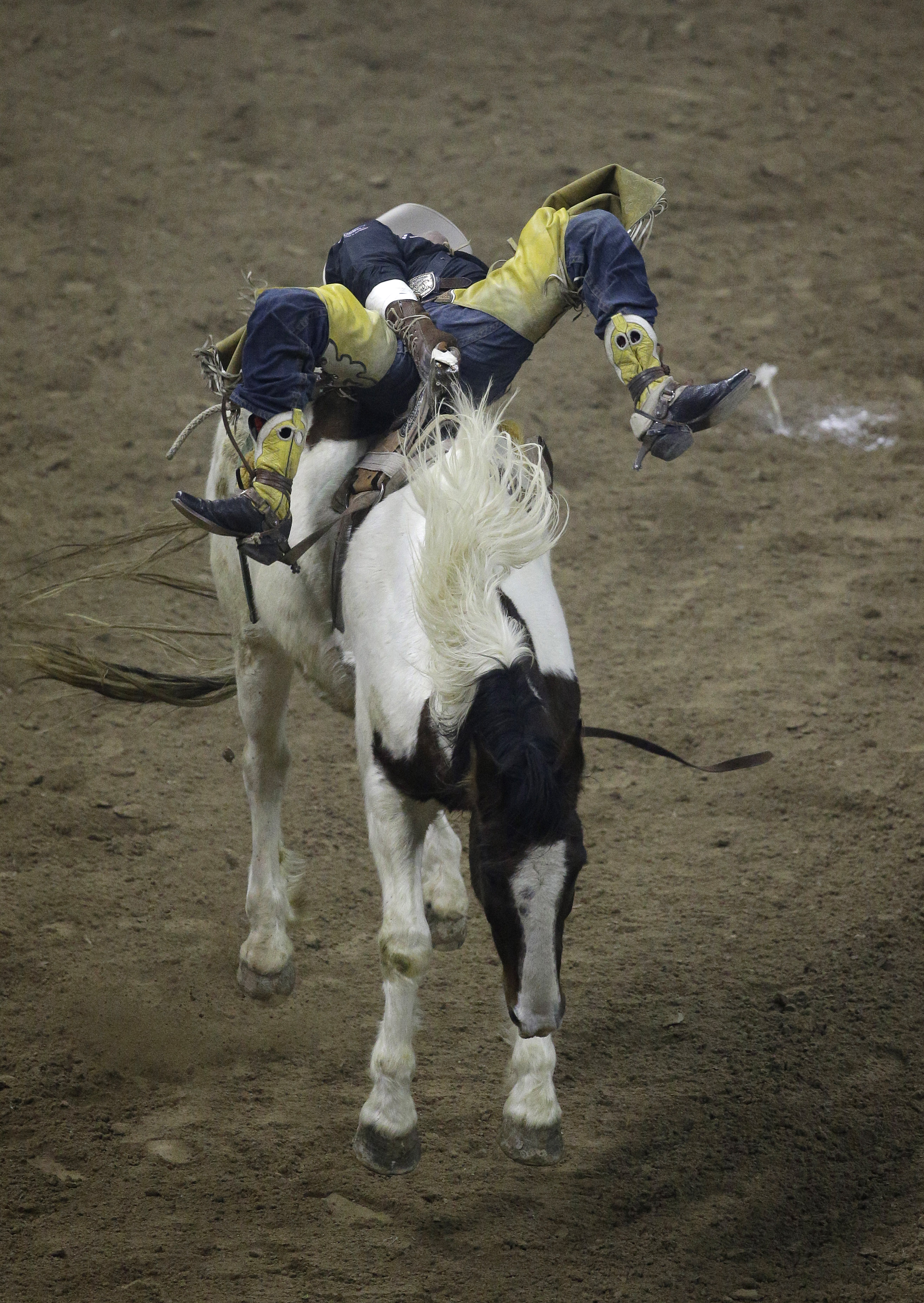 Brazile increases chances for 3 world rodeo titles