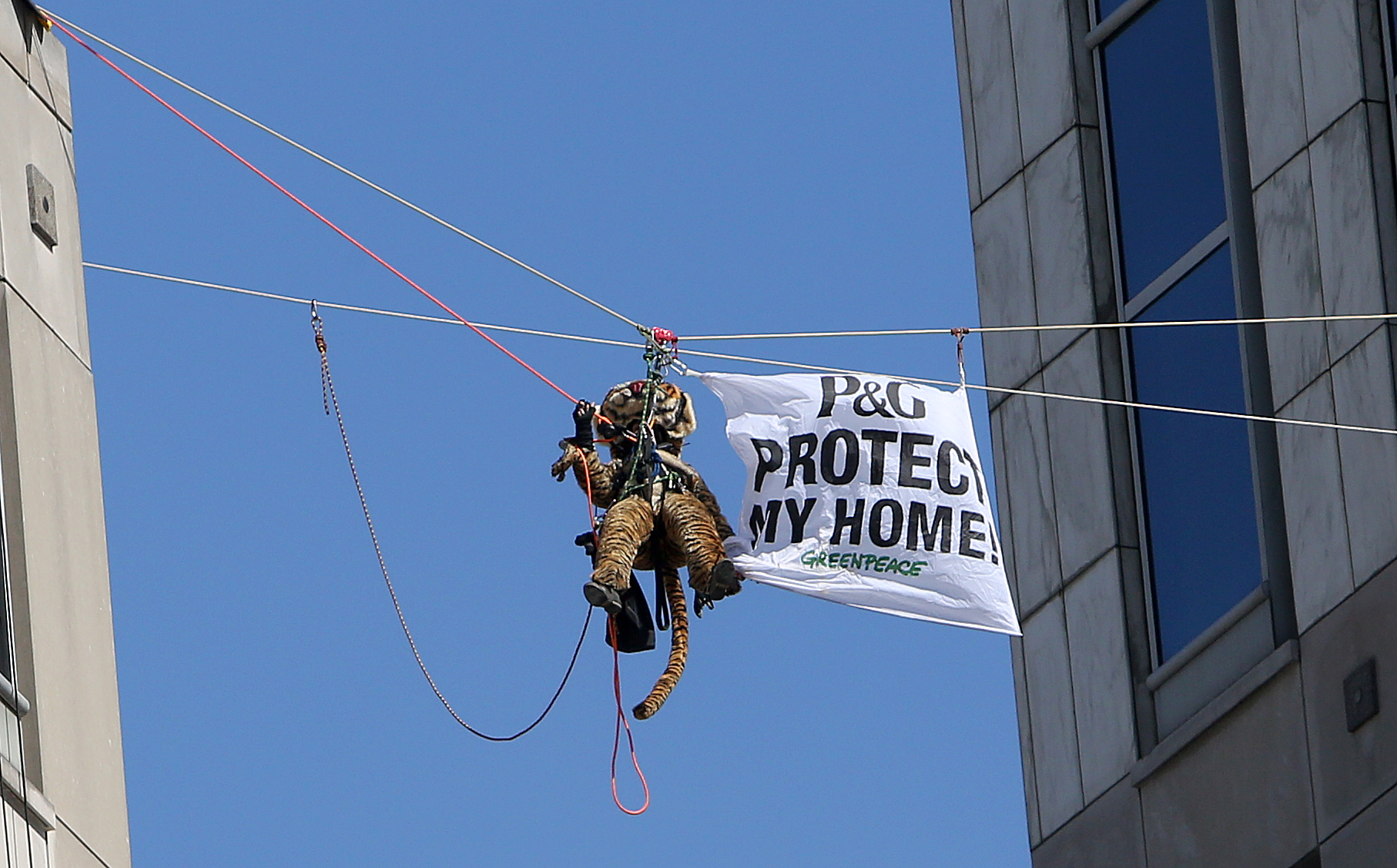 Greenpeace activists take plea deal in P&G protest