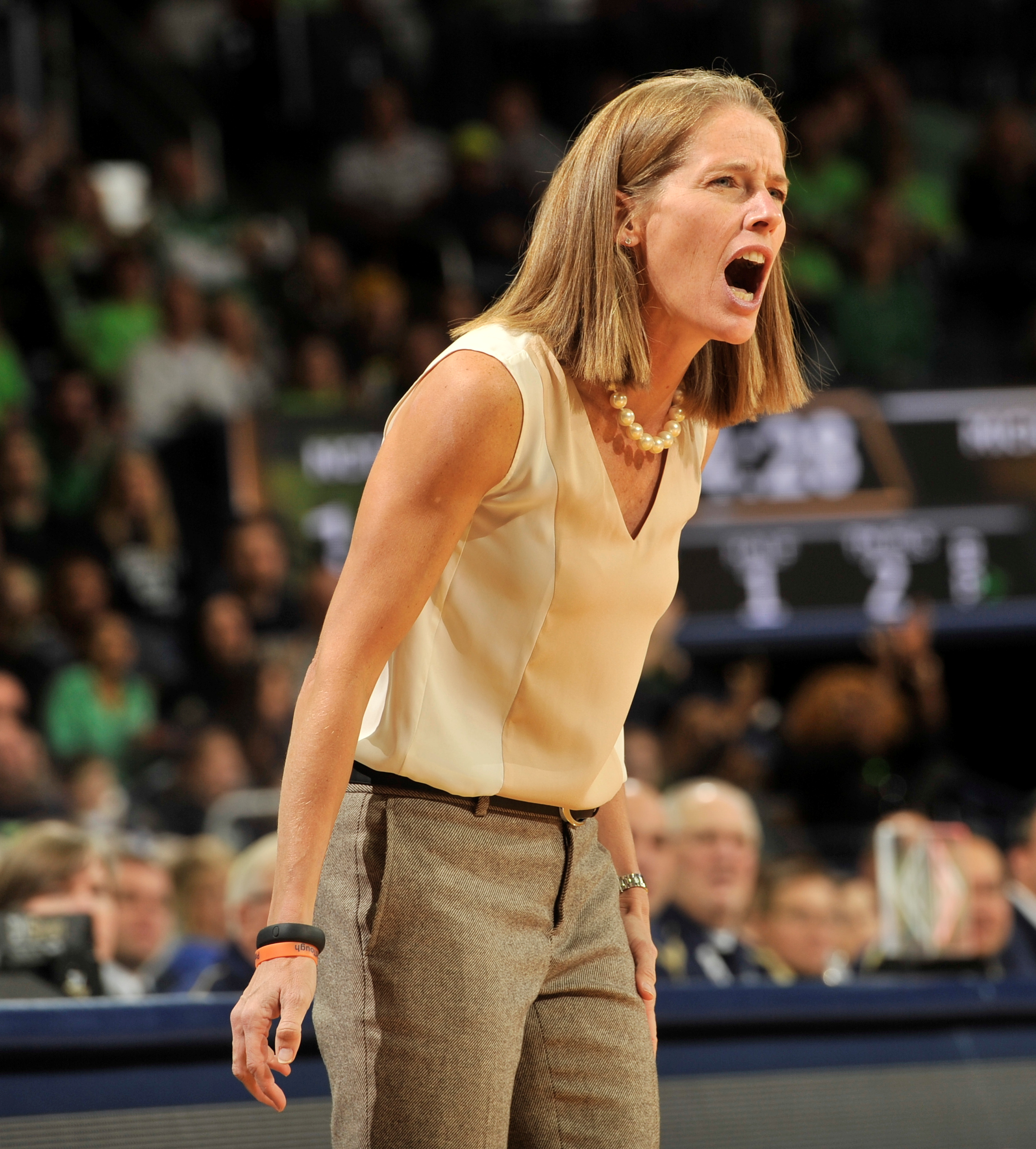 Goree scores 17 as Michigan falls 70-50 to Irish