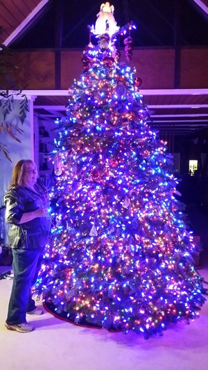 Miles aún optan por árboles de Navidad reales por su aroma o por tradición