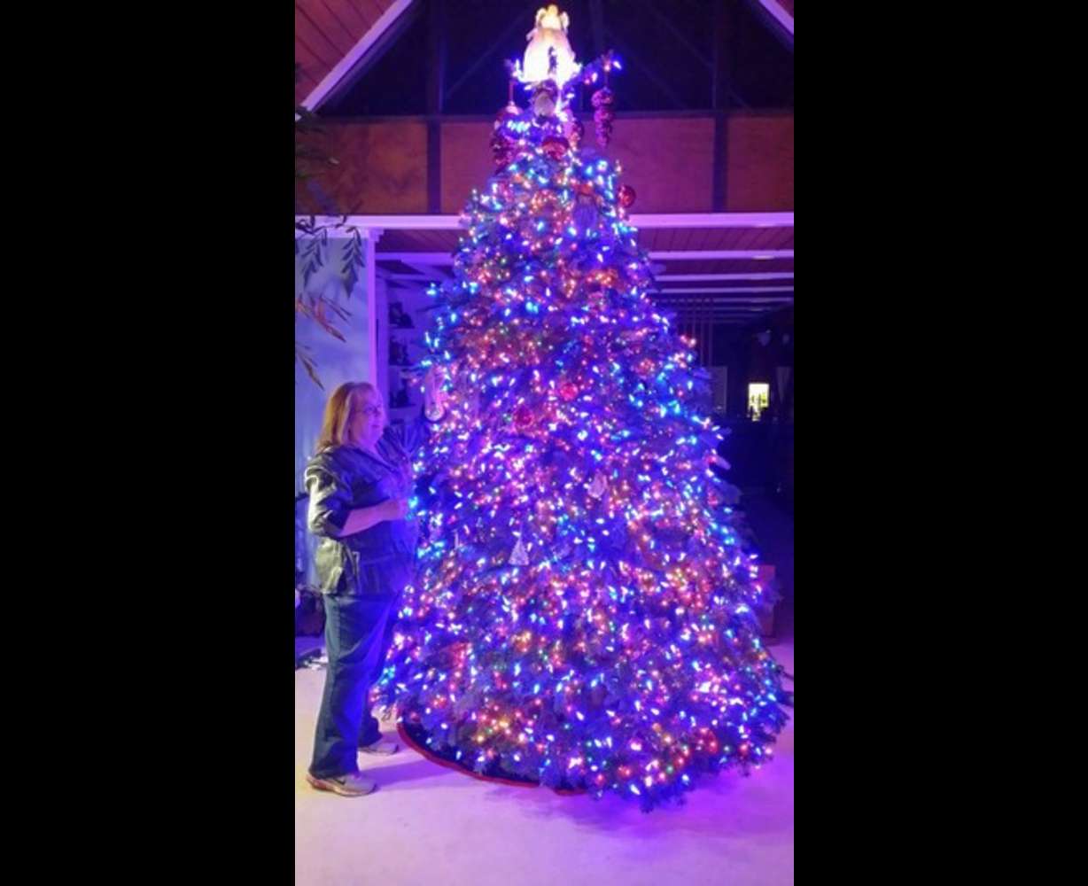 Miles aún optan por árboles de Navidad reales por su aroma o por tradición
