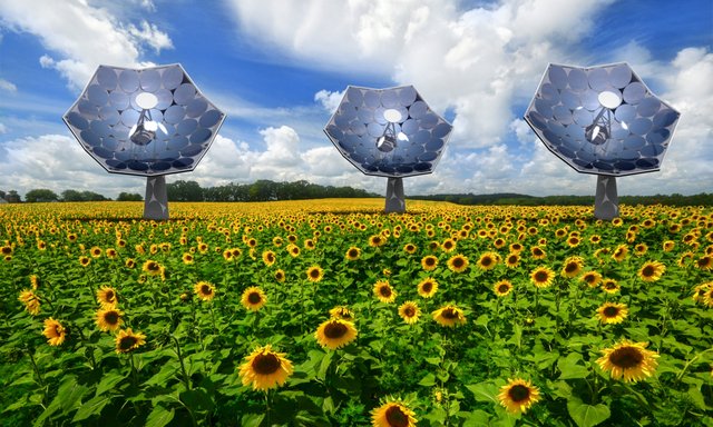 Solar sunflower inspired by nature could bring clean energy anywhere