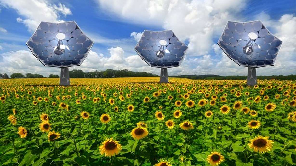 Solar sunflower inspired by nature could bring clean energy anywhere