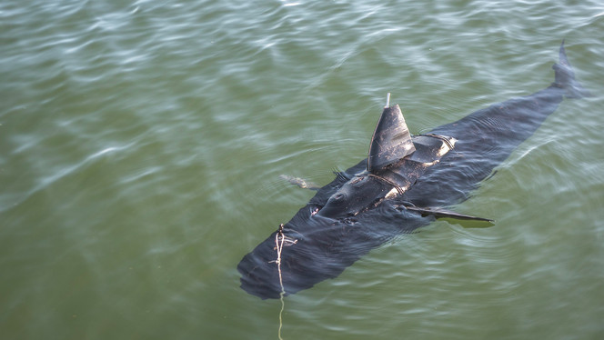 Robot 'tiburón' colecta información para la Marina de EE.UU.